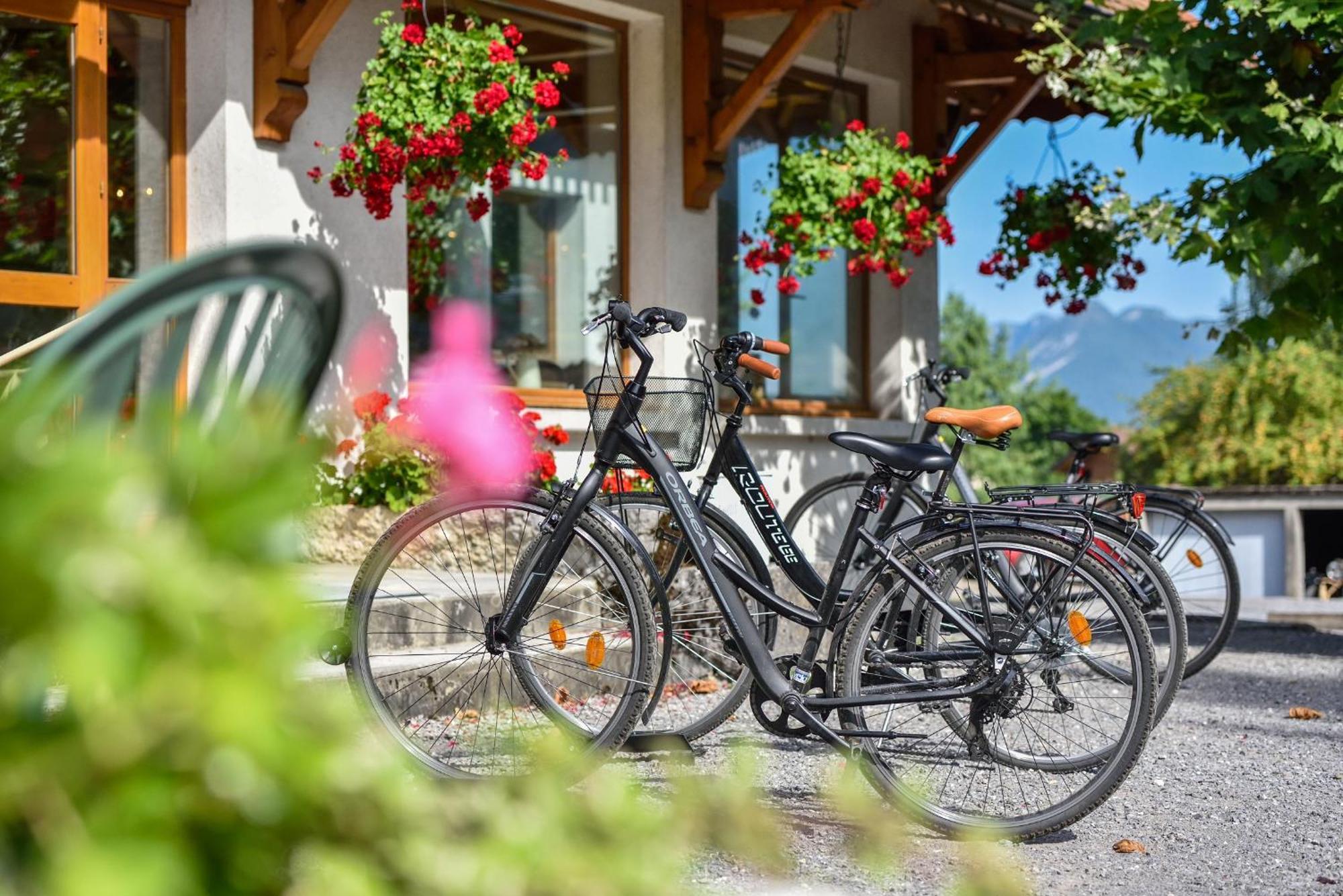 L'Arcalod & Bistrot Jeanne - Lac D'Annecy - Hotel Restaurant Spa Doussard Exterior photo